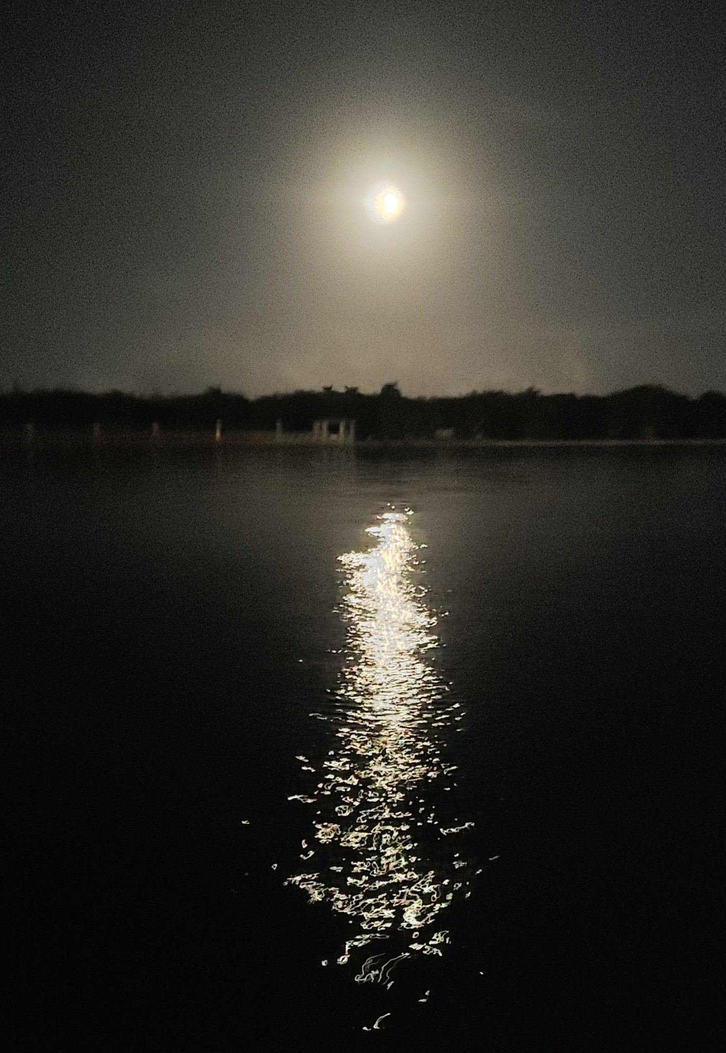 Moon-rise over Birch State Park